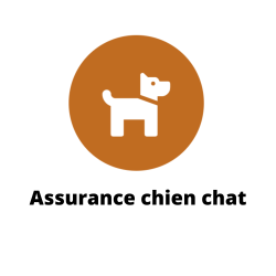assurance chien chat st 2000